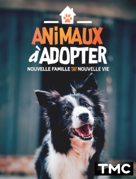 ANIMAUX A ADOPTER